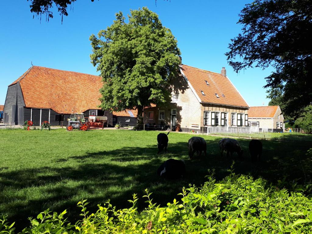 a group of animals grazing in a field in front of a house at Mariahoeve in Rilland-Bath