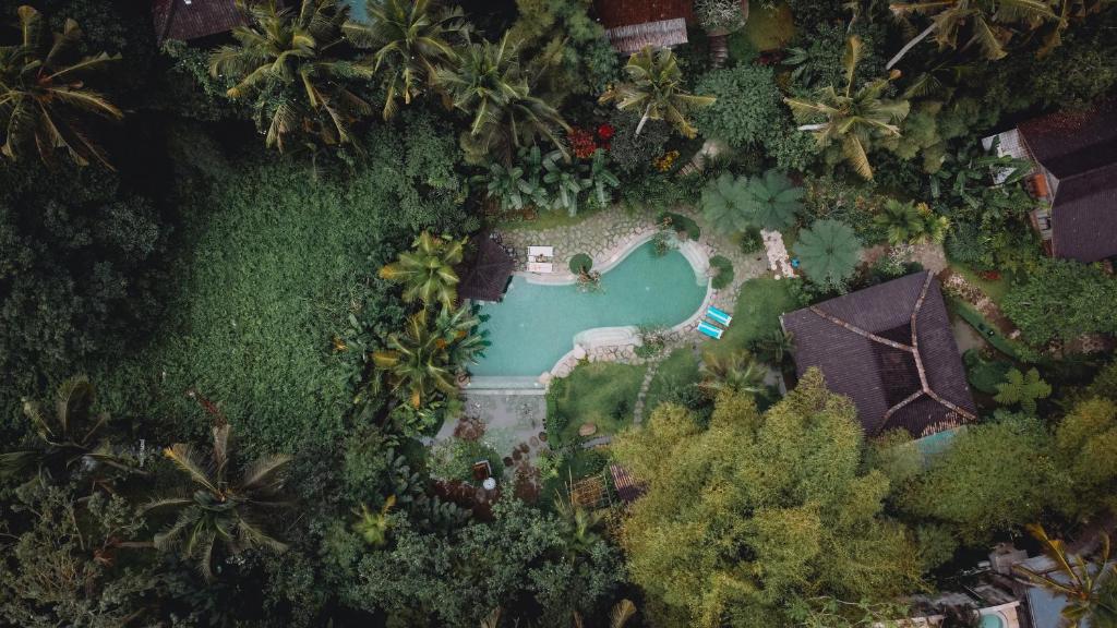 una vista aérea de una piscina en un patio con palmeras en Korurua Dijiwa Ubud en Ubud