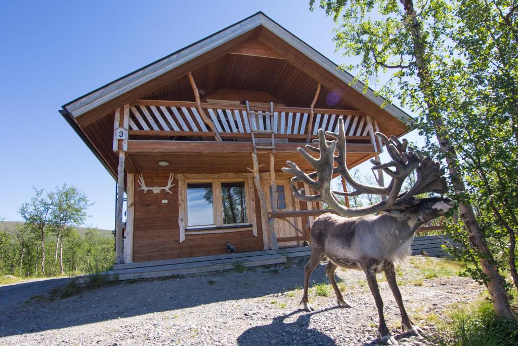 a deer statue in front of a log cabin at Saivaara Cottages in Kilpisj&auml;rvi