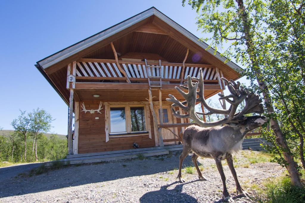 a deer statue in front of a log cabin at Saivaara Cottages in Kilpisjärvi