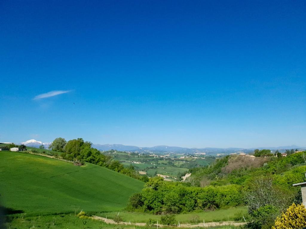 een groene heuvel met bomen en een blauwe lucht bij B&B Casa Gioconda in Monte Vidon Combatte