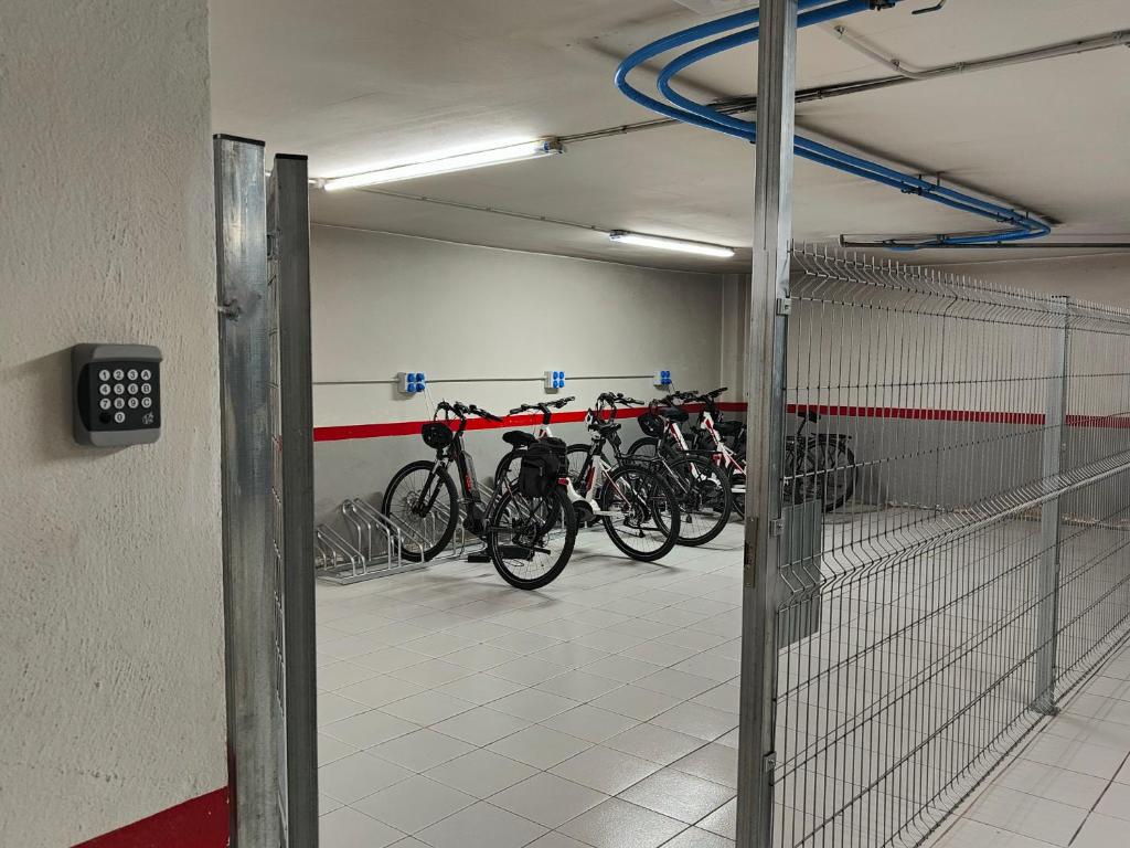 Jízda na kole v ubytování Hotel Borrell nebo okolí