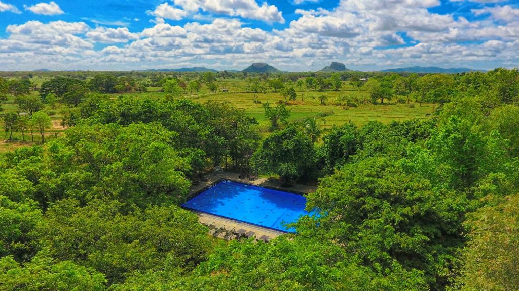 an overhead view of a swimming pool in the trees at Kassapa Lions Rock in Sigiriya