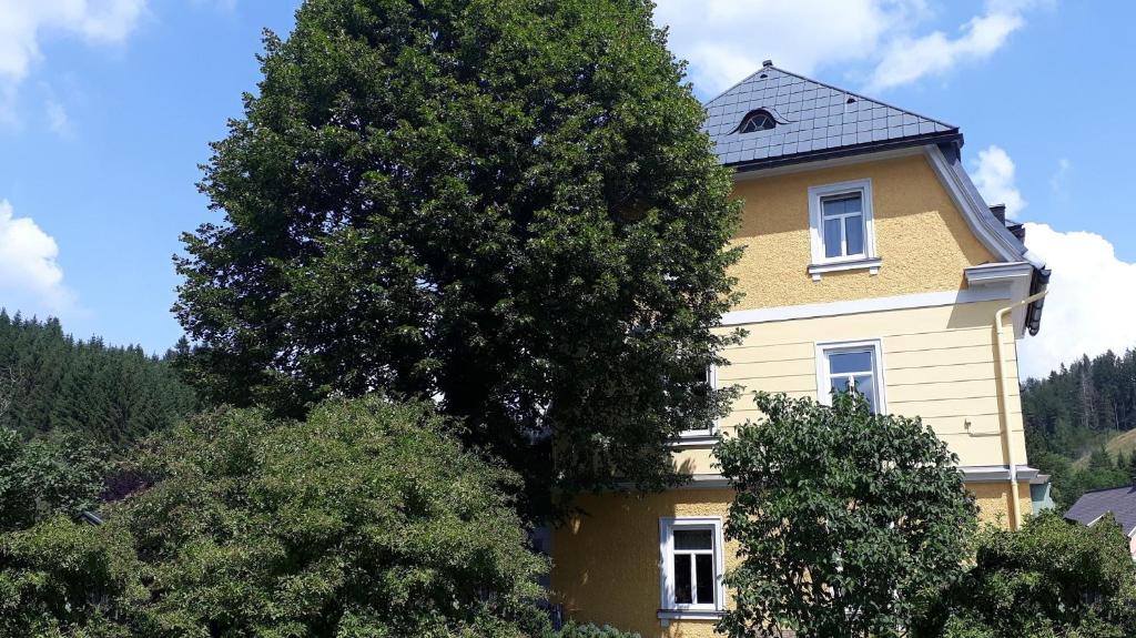 米特爾巴赫的住宿－Ferienwohnungen Weissenbacher，前面有一棵树的黄色房子