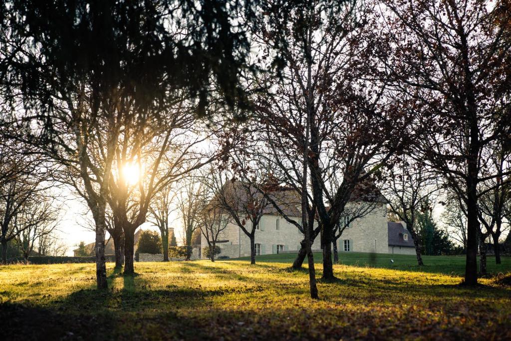 a group of trees in a field with the sun shining through at Domaine Truffier du Grand Merlhiot in Savignac-les-Églises