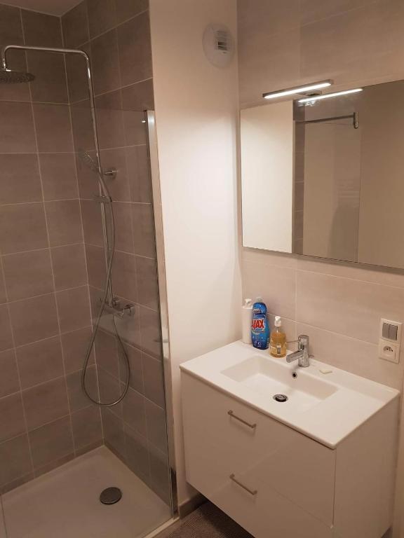 a bathroom with a shower and a sink and a mirror at Appart neuf entre Paris et Versailles, A 5 mn école Ducasse in Meudon