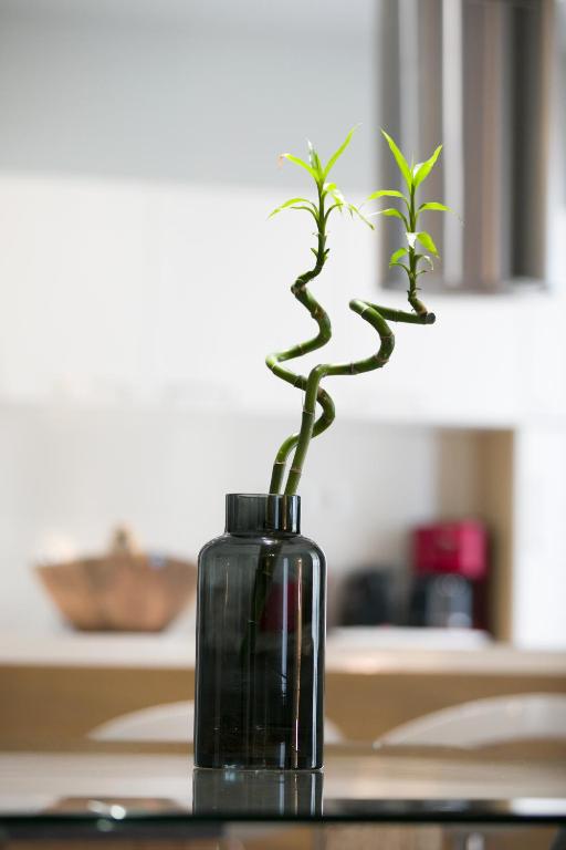 Polis Apartments - 17