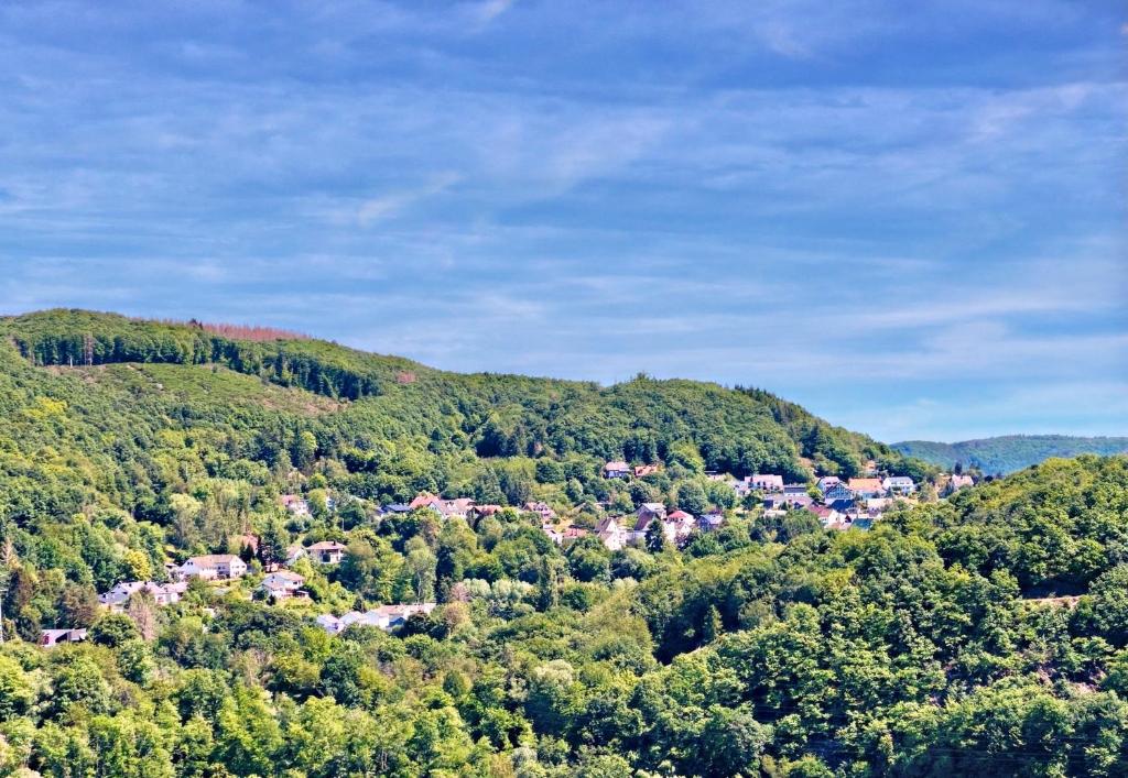 a small town in the middle of a mountain at Natur Panorama Suiten am Rursee in Heimbach