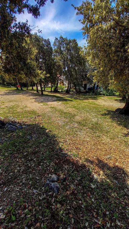 Zahrada ubytování Apartments MULOBEDANJ