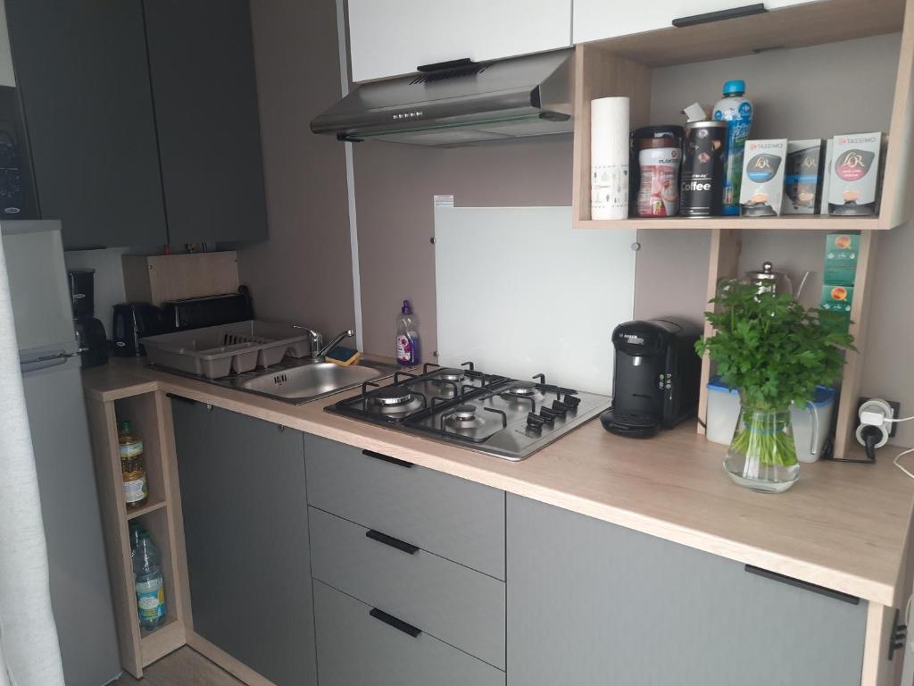 a kitchen counter with a stove and a sink at Charmant mobil-home 178 in Narbonne
