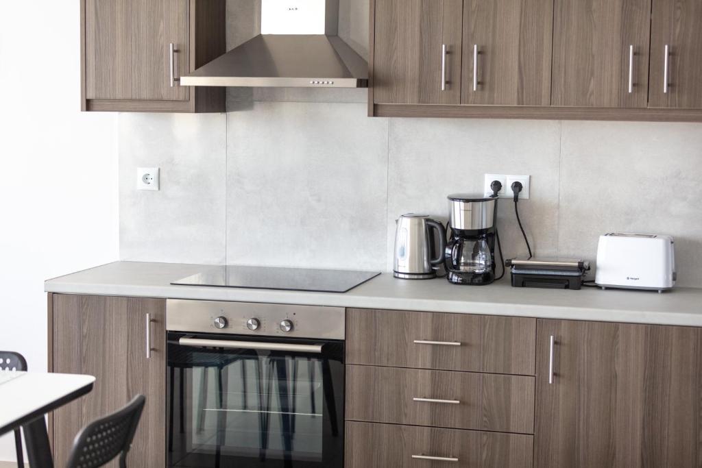 Kuchyň nebo kuchyňský kout v ubytování Serenity apartment Mochlos