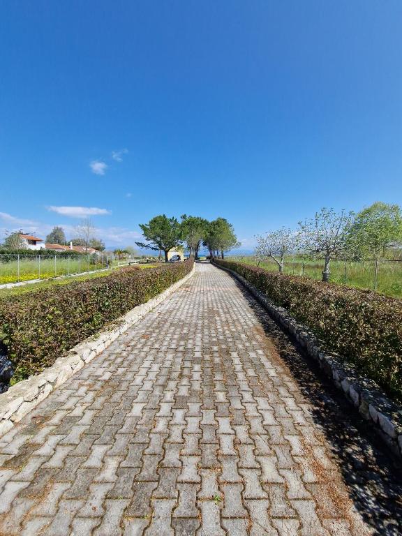 Příroda nedaleko apartmánu