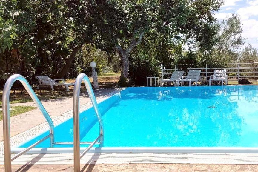 Apartments Fičur with Swimming Pool & Grill, Portorož في بوروتوروج: مسبح ازرق كبير وكراسي بجواره