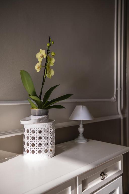 Fotografie z fotogalerie ubytování CORVETTO rooms v Janově