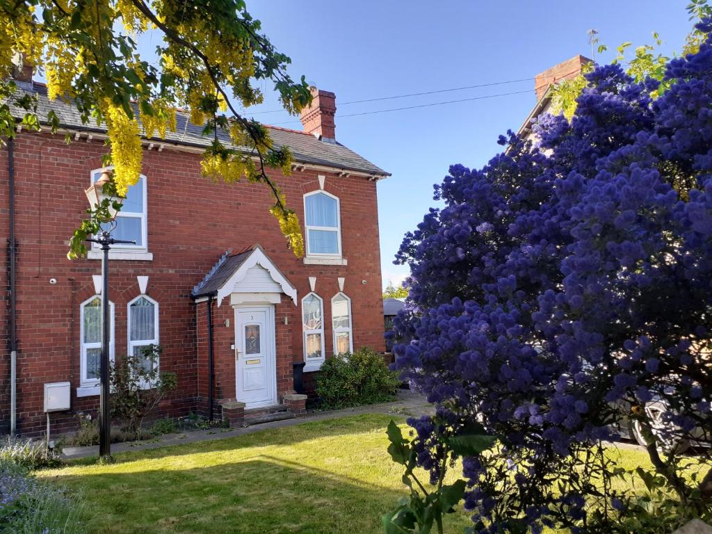 a brick house with a purple tree in front of it at Victoria Villas in Sandycroft