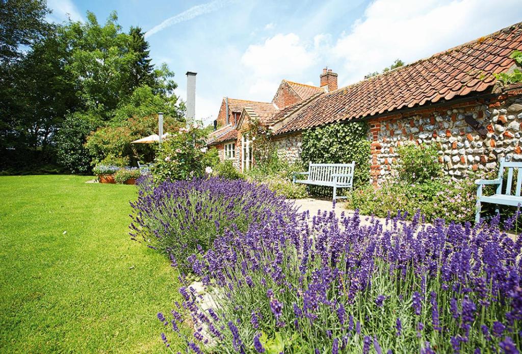 a garden with purple flowers in front of a building at Pear Tree Cottage Norfolk in Little Barningham
