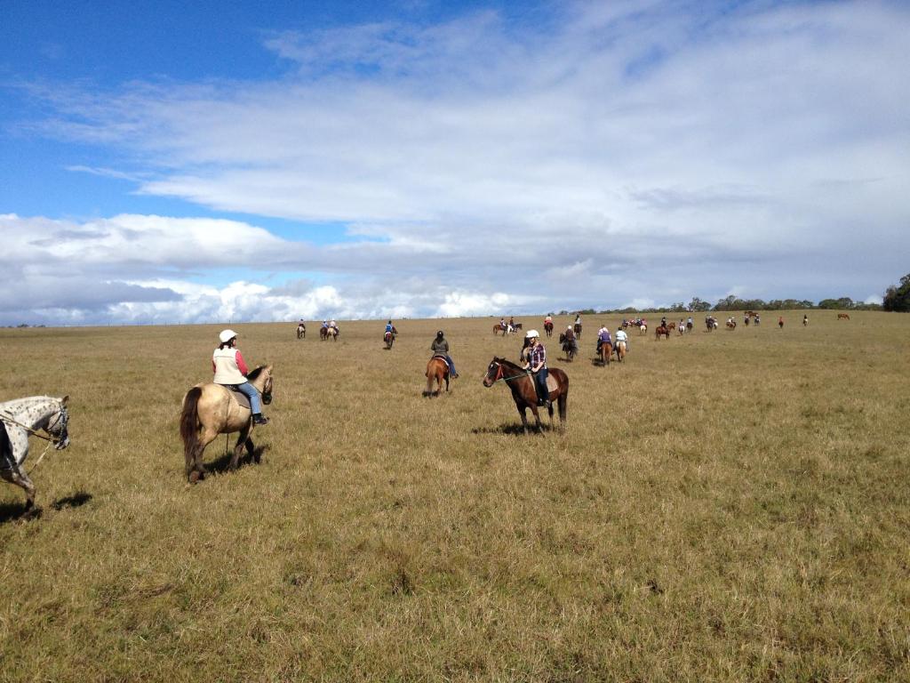 a group of people riding horses in a field at Susan River Homestead in Hervey Bay