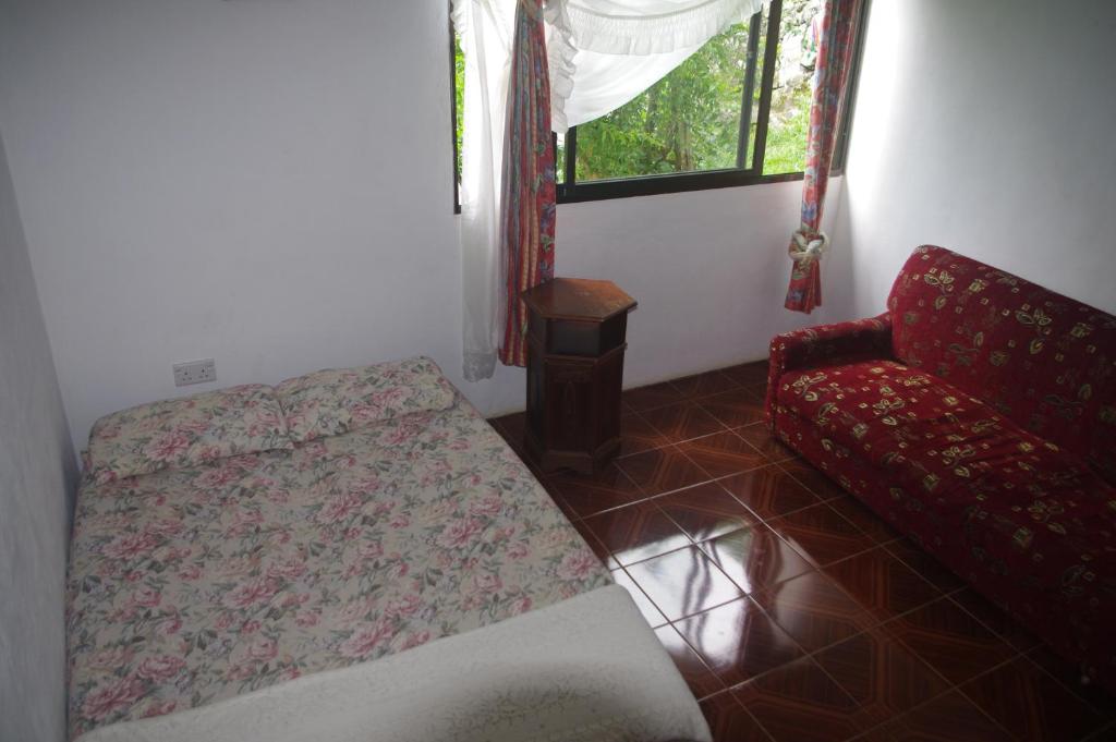 Posezení v ubytování Papaya Guesthouse