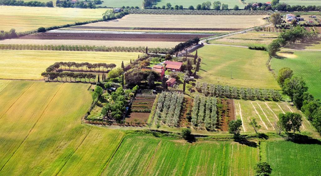 een luchtfoto van een huis in een veld bij Locanda le Mandriane in Albinia