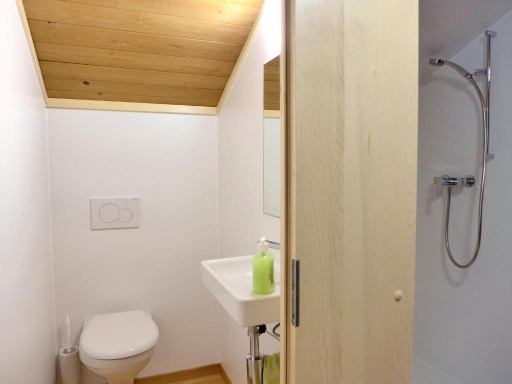 Koupelna v ubytování Apartment Vreneli by Interhome