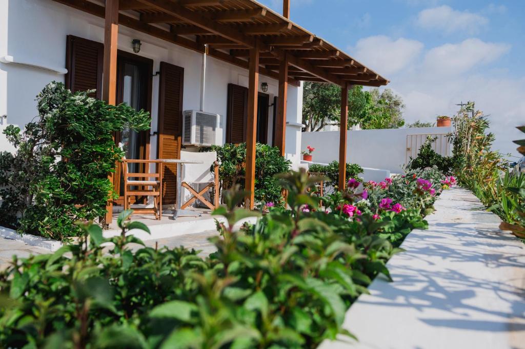 Petros Studios & Suites - 6