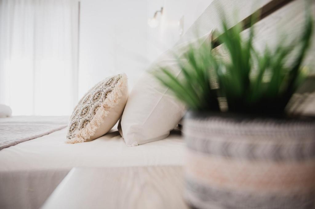 Petros Studios & Suites - 2