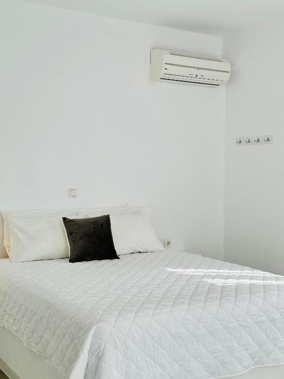 Paradiso Boutique - 12