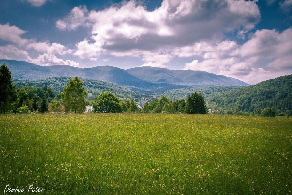 un campo de césped verde con montañas en el fondo en Carynka, en Ustrzyki Górne