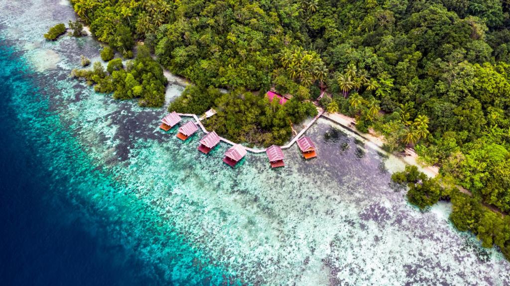 eine Luftansicht auf einen Strand mit Bäumen und Wasser in der Unterkunft Methos Homestay - Raja Ampat in Yennanas Besir