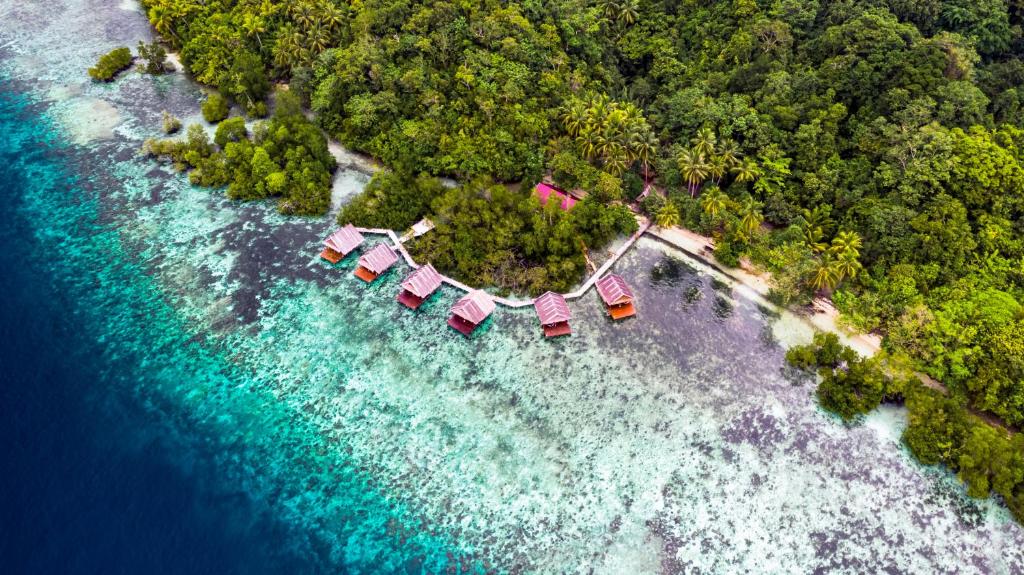 an aerial view of a beach with trees and water at Methos Homestay - Raja Ampat in Yennanas Besir