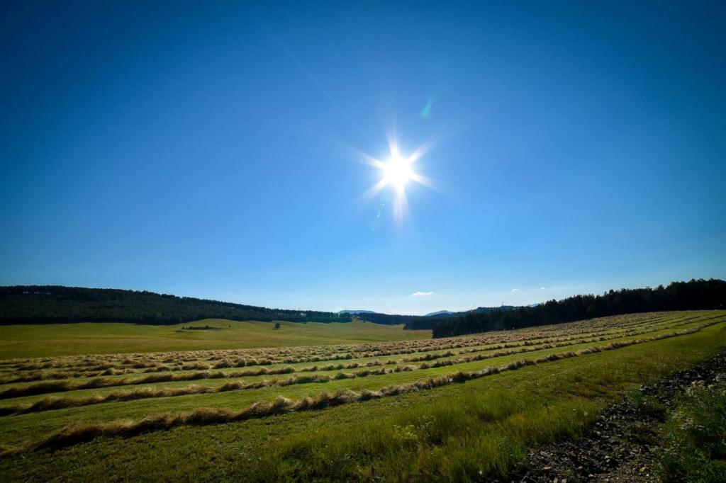 Zlatibor Hills Afrodita & Spa - Resim 13