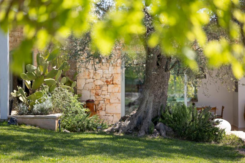 Vonkajšia záhrada v ubytovaní Ostuni Art Resort