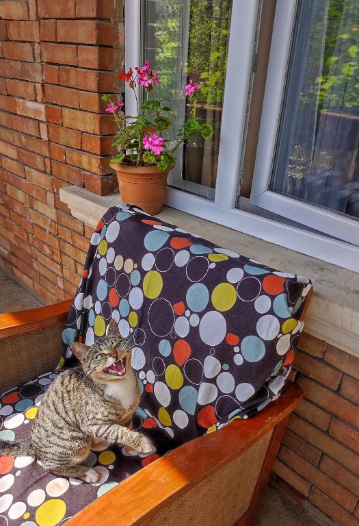 Foto de la galeria de Friendly Guest House a Kutaisi