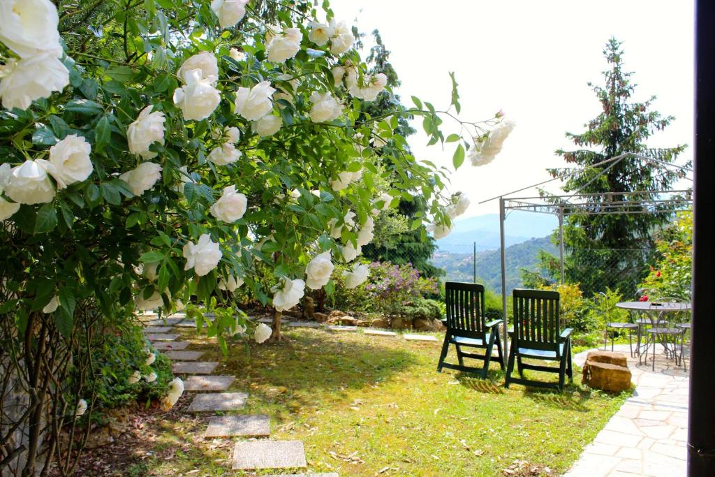 two chairs sitting under a tree with white roses at SB Bed & Breakfast in Seborga