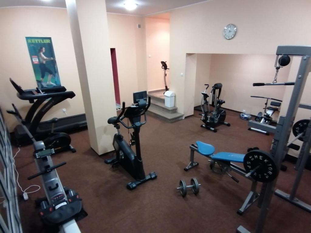 Fitness centrum a/nebo fitness zařízení v ubytování OSW Kaper