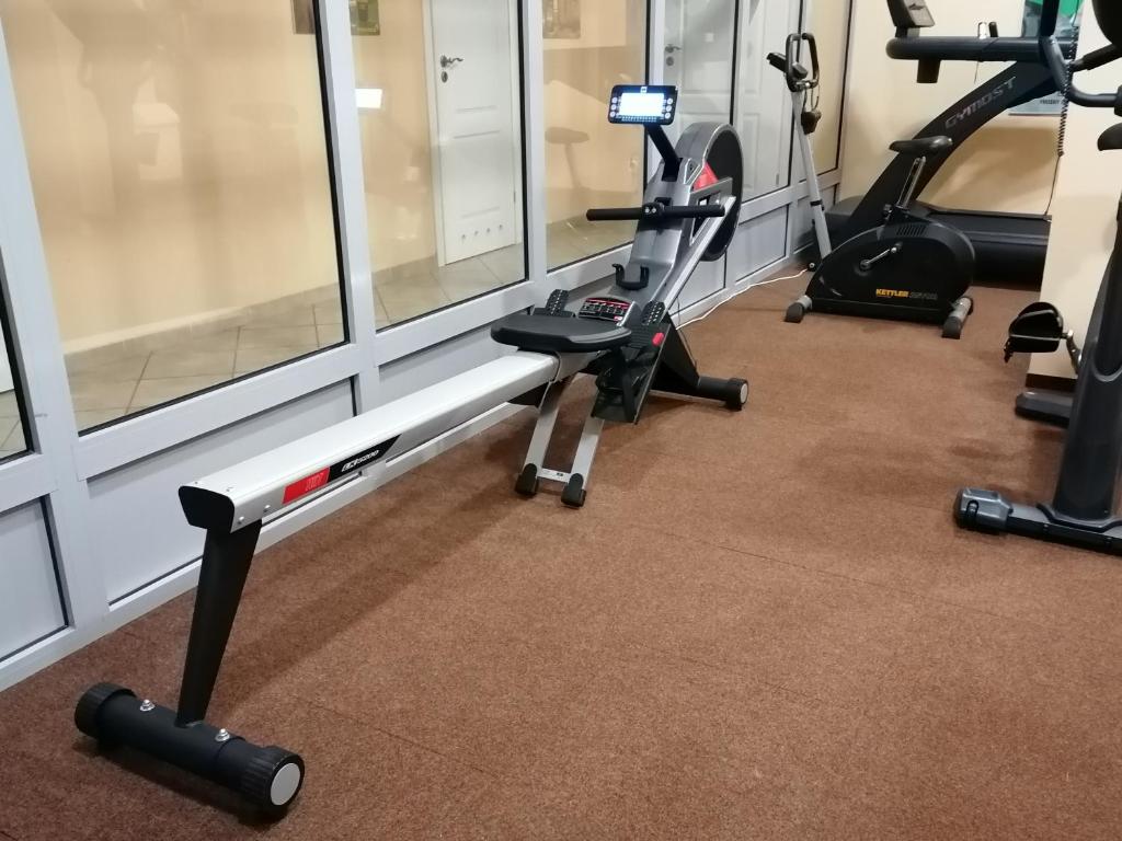 Fitness centrum a/nebo fitness zařízení v ubytování OSW Kaper