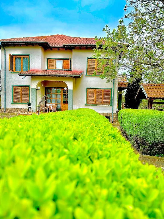 Villa Srebarna