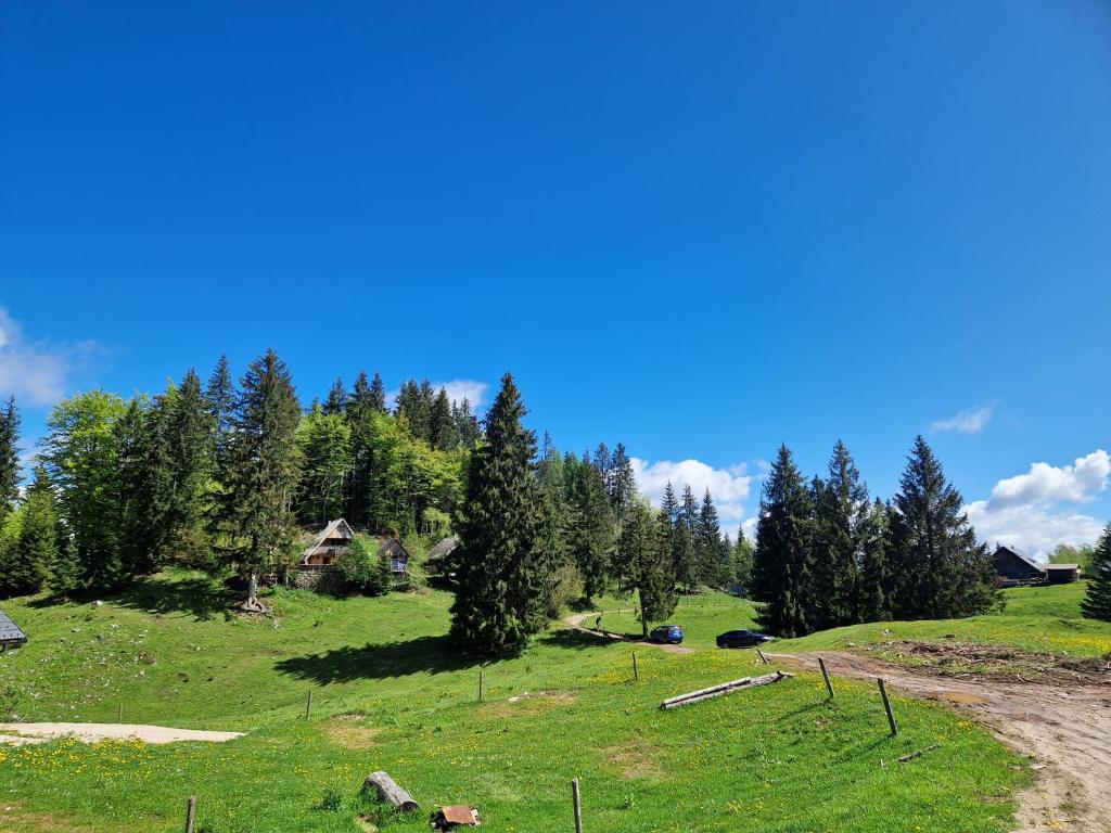a grassy hill with trees and a dirt road at OTO`S CABIN in Radovljica