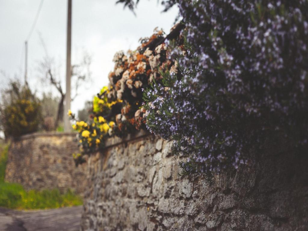 Una pared de piedra con flores encima. en Agriturismo La Collina Toscana, en Pieve a Maiano