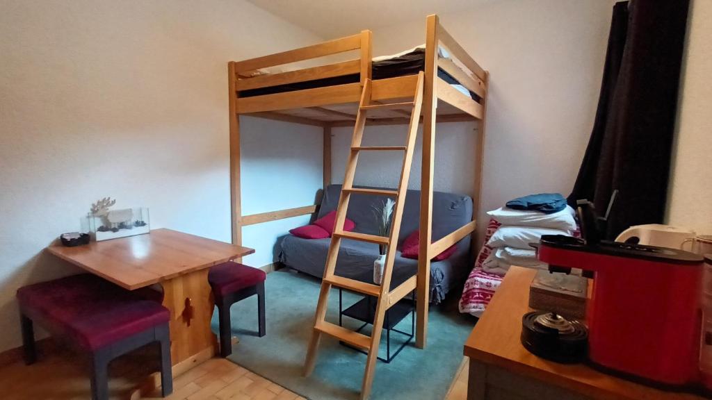 拉薩勒萊阿爾卑斯的住宿－Le Lautaret，客房设有一张桌子和一张双层床。