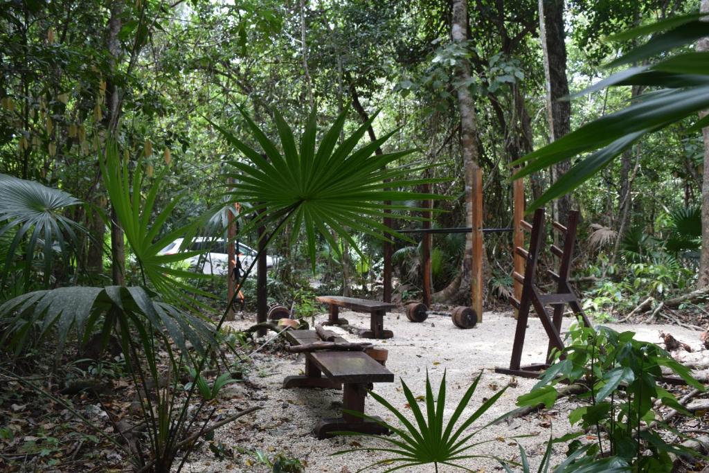 Zahrada ubytování Jolie Jungle Eco Hotel
