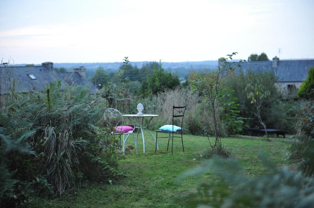 Příroda nedaleko bed and breakfast