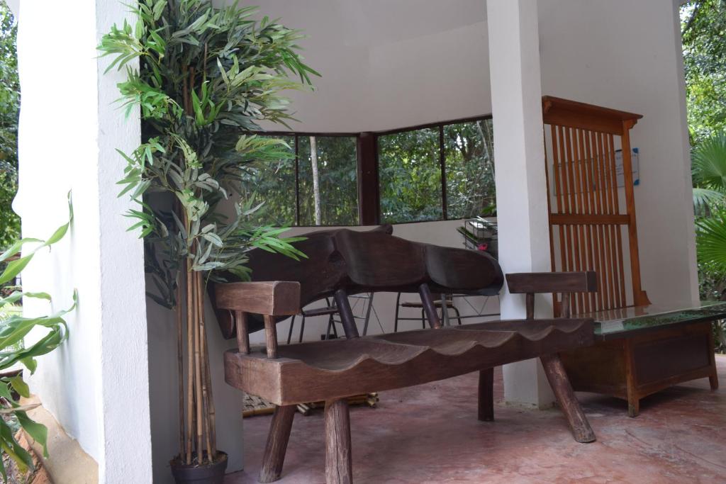 Fotografie z fotogalerie ubytování Jolie Jungle Eco Hotel v destinaci Puerto Morelos