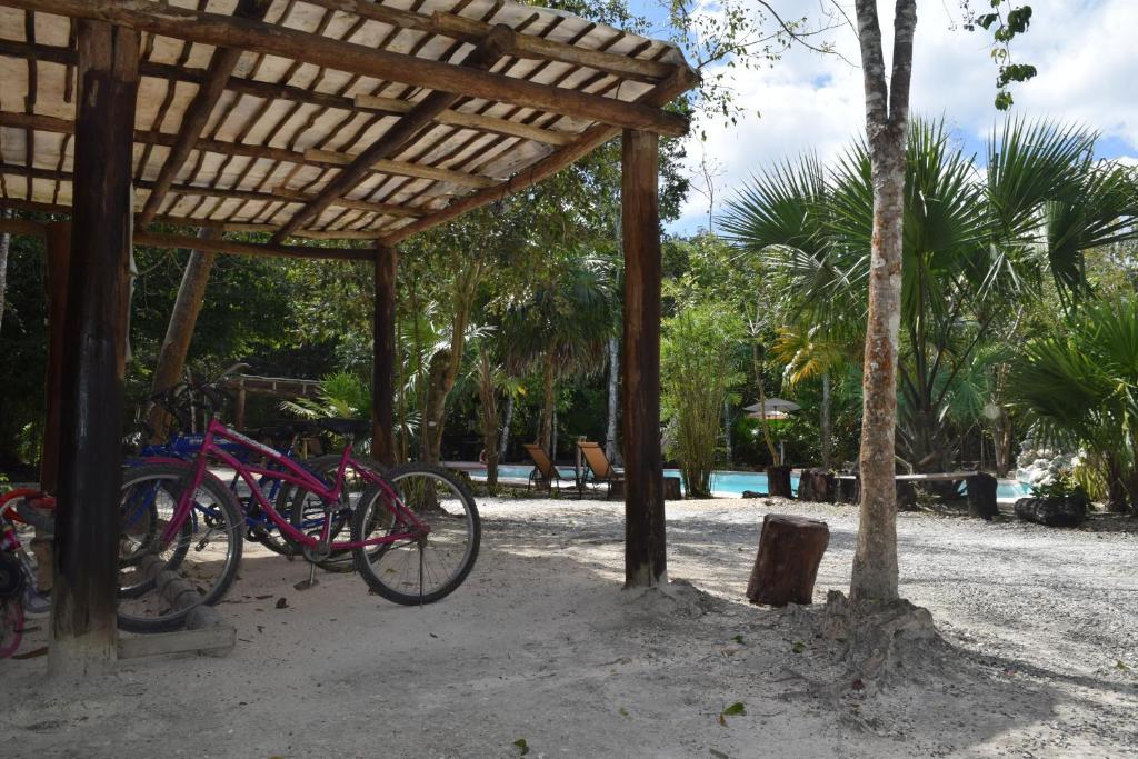 Jízda na kole v ubytování Jolie Jungle Eco Hotel nebo okolí