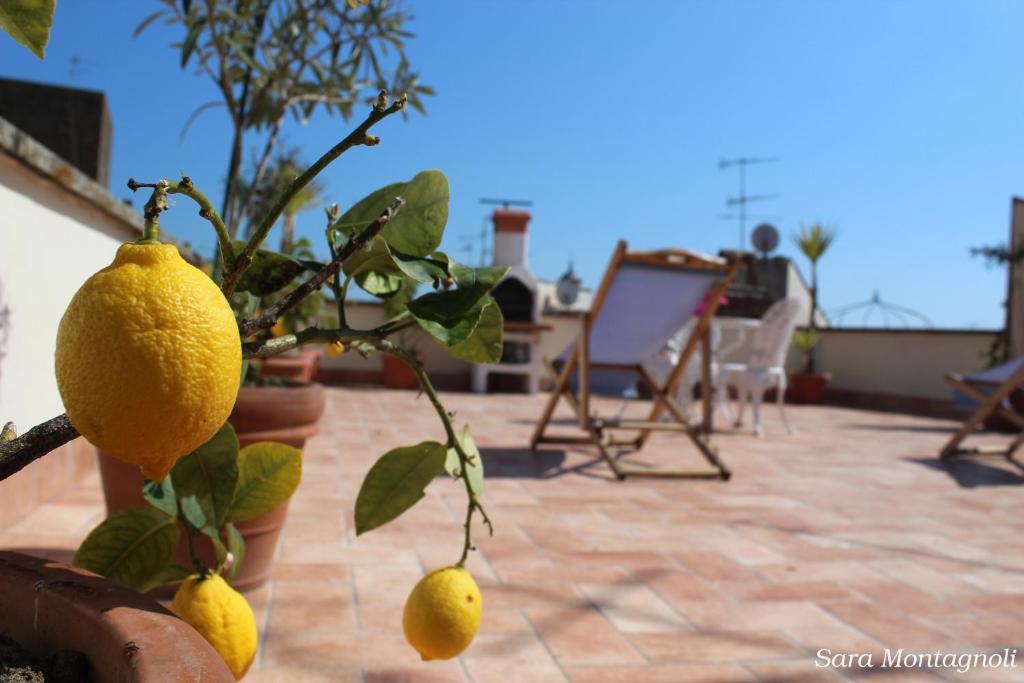 Fotografie z fotogalerie ubytování La Terrazza v destinaci Tuscania