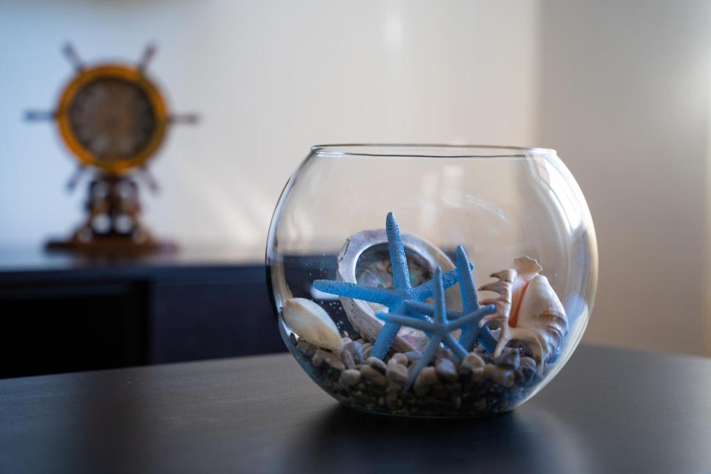 eine Glasschüssel mit Schalen und Seestern in der Unterkunft Apartment Stella Marina in Rabac