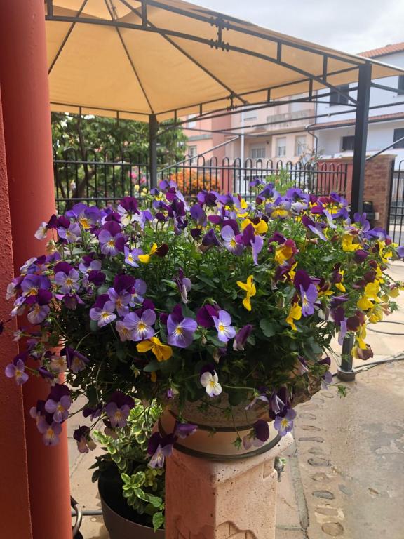 a bunch of purple and yellow flowers in a pot at Paese Museo in San Sperate