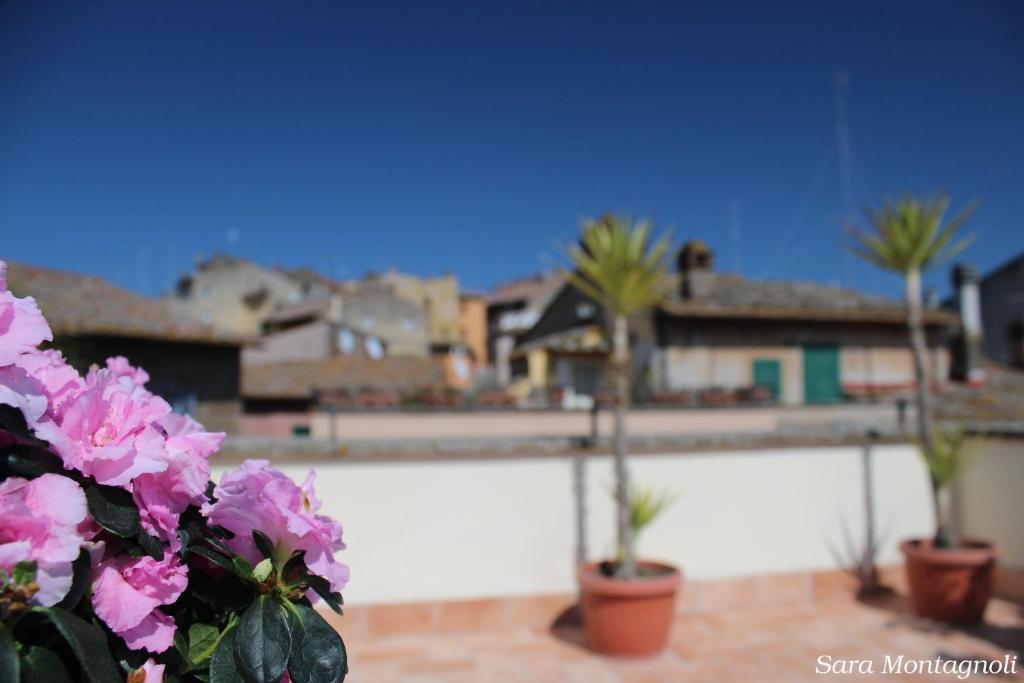 Fotografie z fotogalerie ubytování La Terrazza v destinaci Tuscania