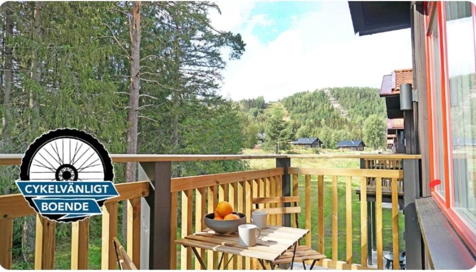Pokrajina v okolici apartmaja