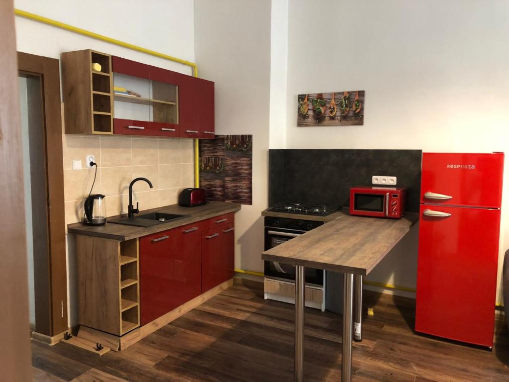 Η κουζίνα ή μικρή κουζίνα στο City Apartment